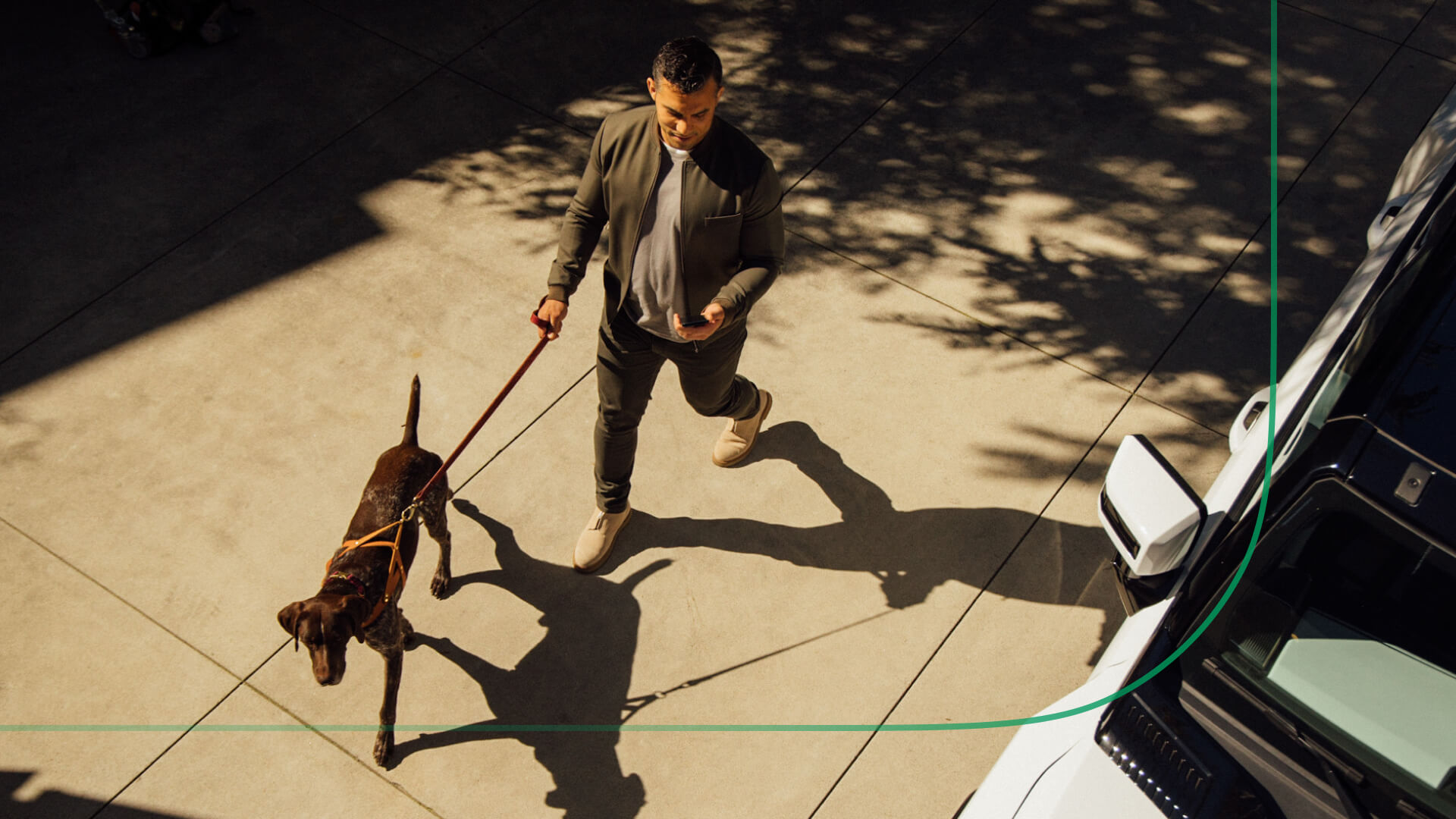 Investor reviewing fixed income strategies on smartphone during a dog walk.